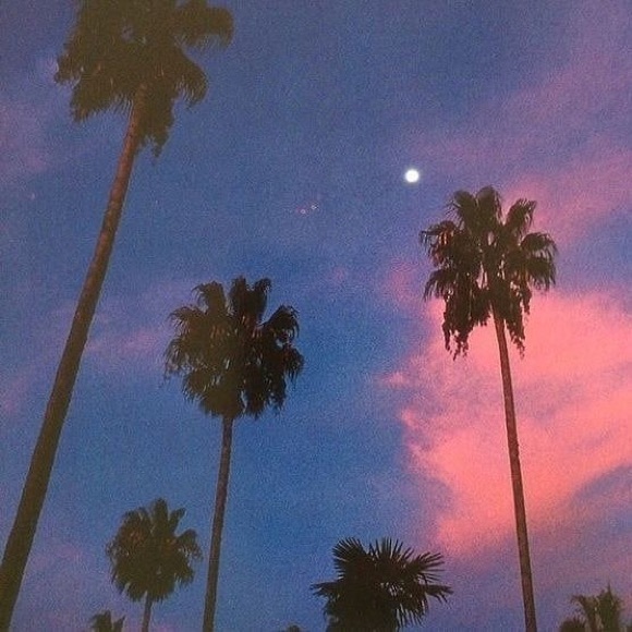 Meet your Posher, Julia - Picture 1 of 1